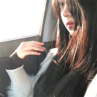 赞鸟历险记